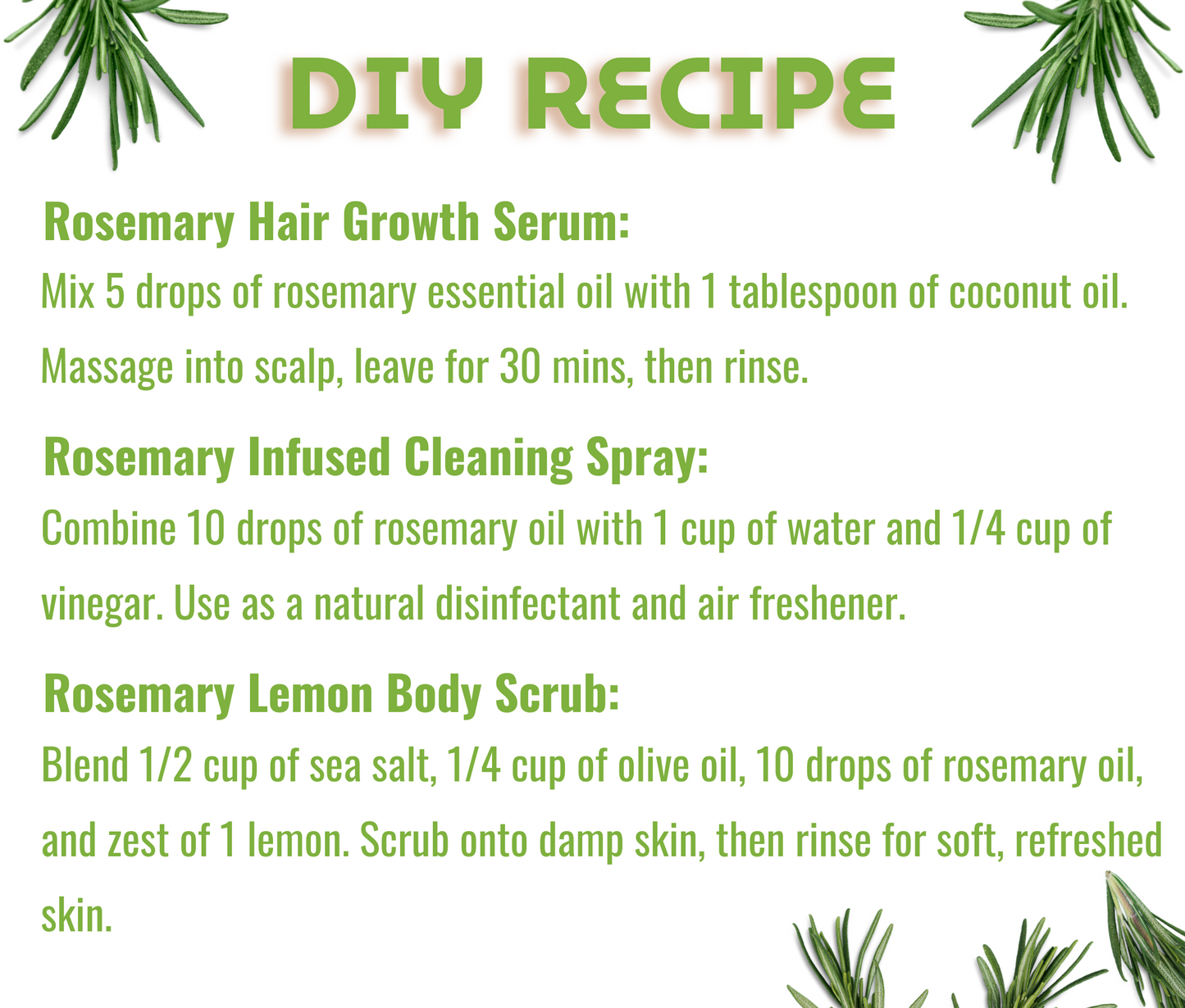 Rosemary Essential Oil – For Hair Growth & Scalp Care Combo