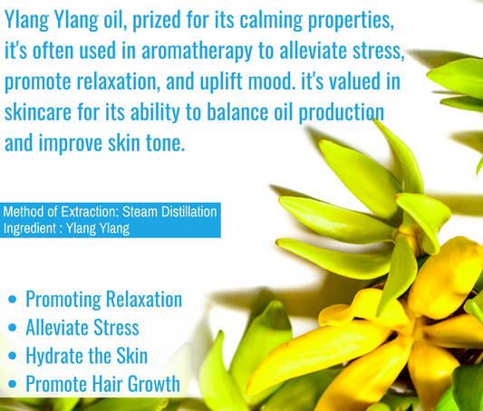 Ylang Ylang Essential Oil For Skin, Hair and Aromatherapy