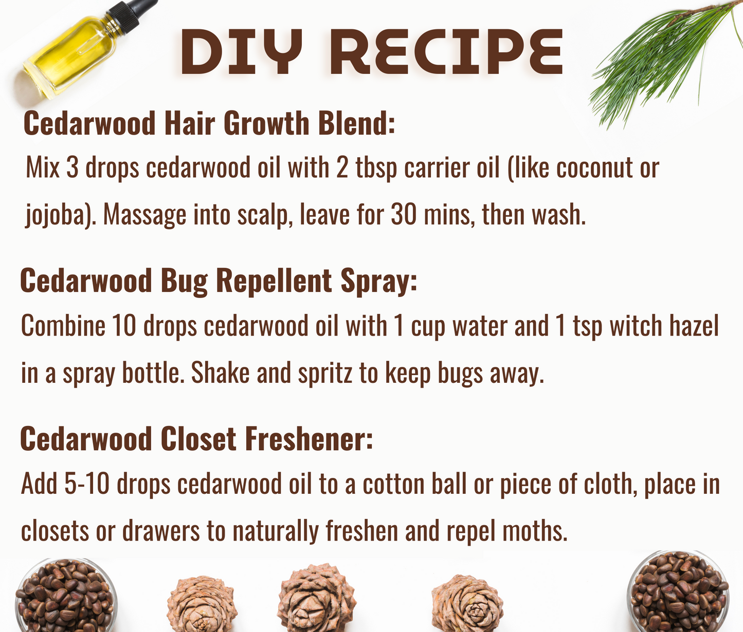 Cedarwood Essential Oil – Calming Aromatherapy & Relaxing Wellness Oil