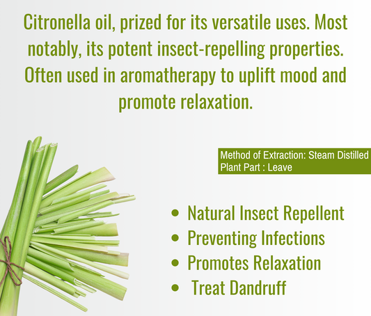 Citronella Essential Oil – Natural Insect Repellent & Aromatherapy for Home Wellness