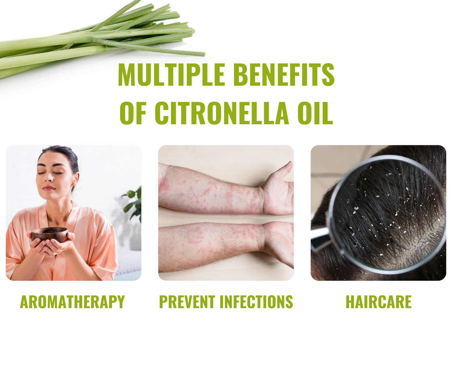 Citronella Essential Oil – Natural Insect Repellent & Aromatherapy Combo