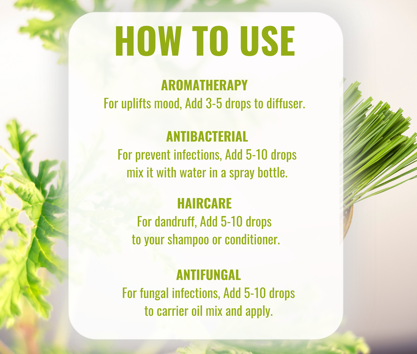 Citronella Essential Oil – Natural Insect Repellent & Aromatherapy Combo