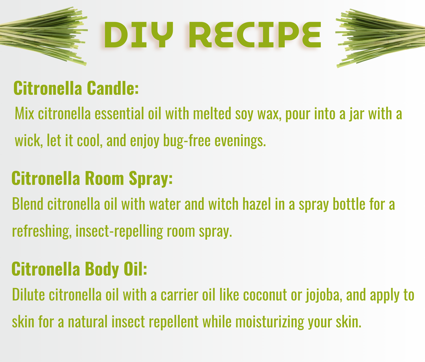 Citronella Essential Oil – Natural Insect Repellent & Aromatherapy Combo