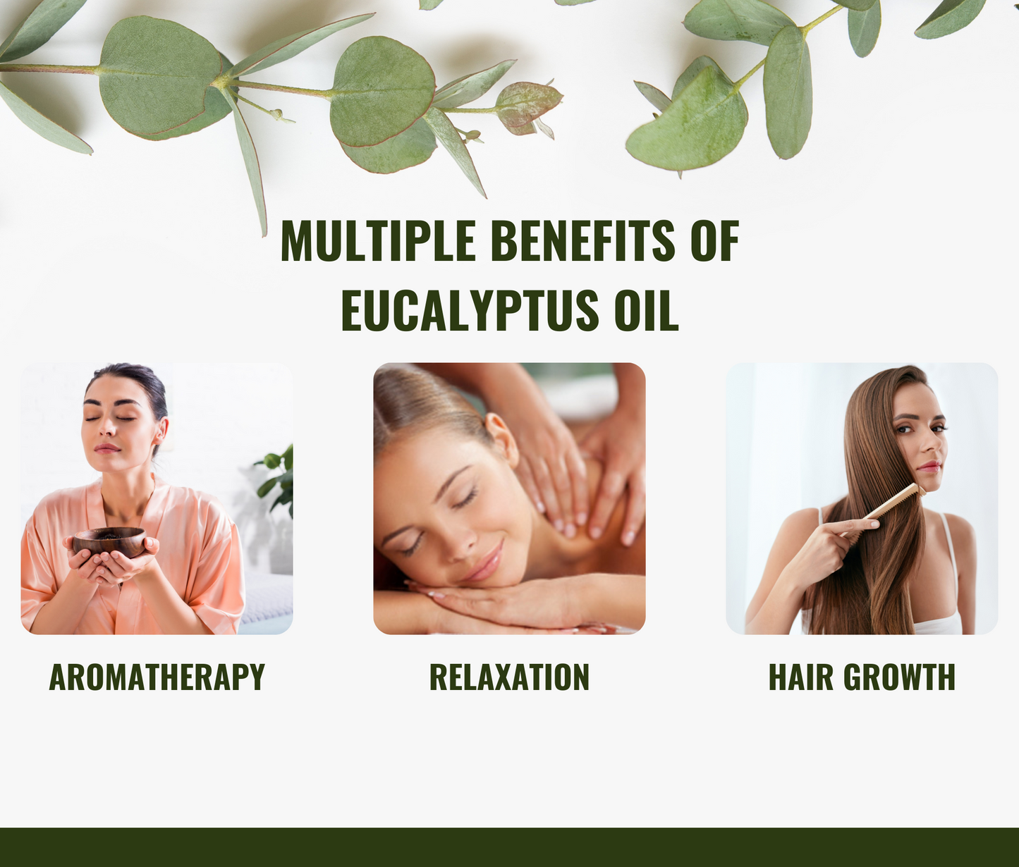Eucalyptus Essential Oil for Cold Relief, Spa & Diffuser