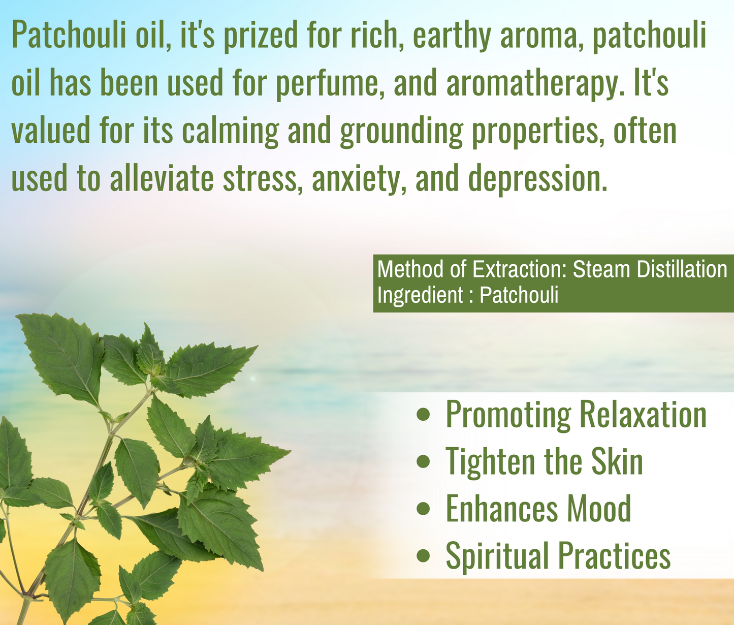 Patchouli Essential Oil for Skin, Hair & Diffuser Use