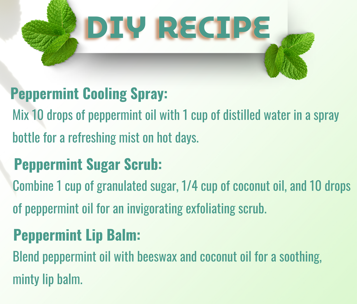 Peppermint Essential Oil – Energizing Aromatherapy Combo