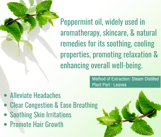 Peppermint Essential Oil – Energizing Aromatherapy