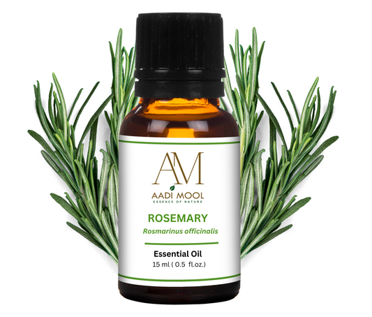 Rosemary Essential Oil – For Hair Growth & Scalp Care