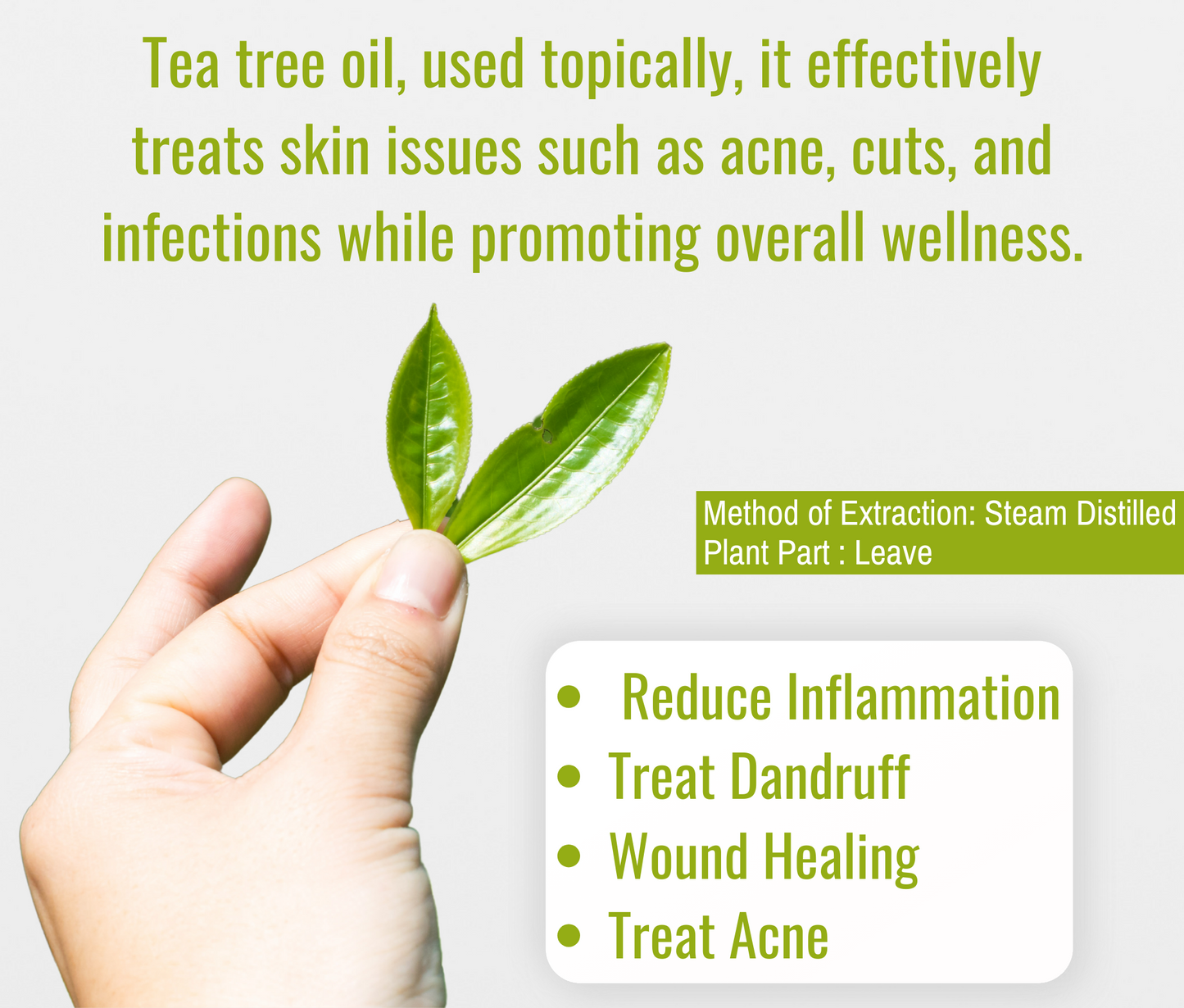 Tea Tree Oil – Natural Skincare & Haircare