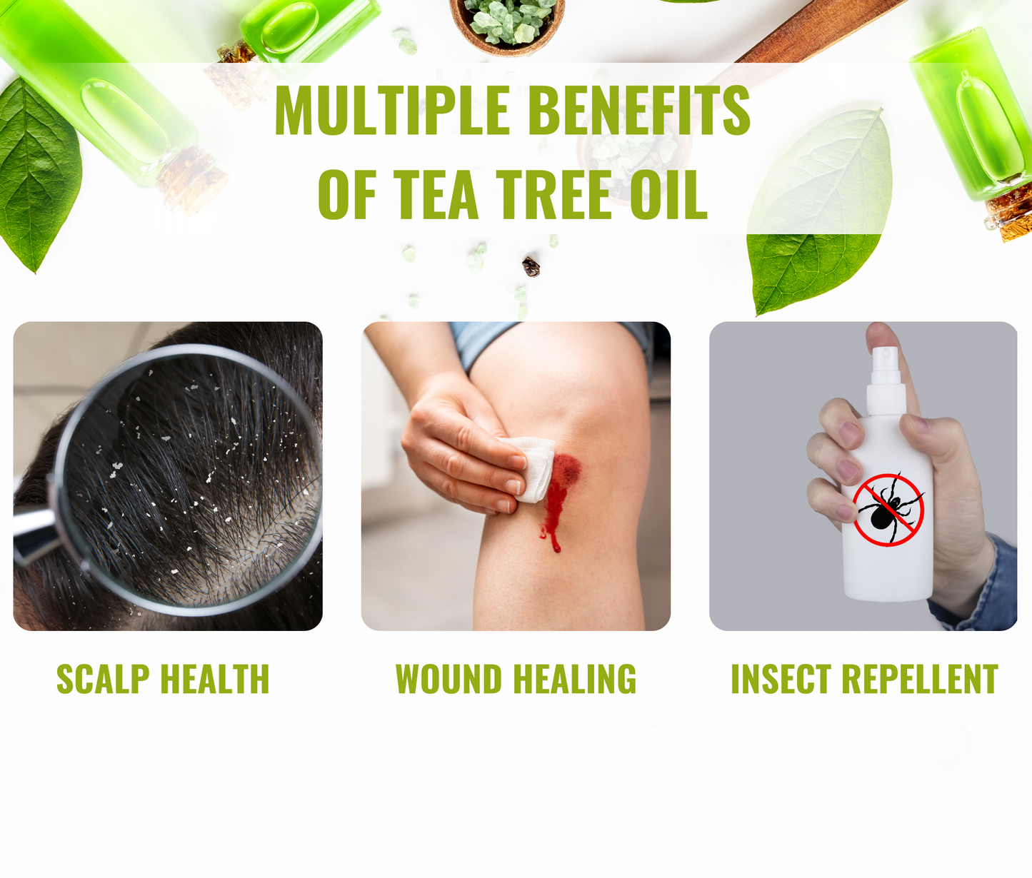Tea Tree Oil – Natural Skincare & Haircare
