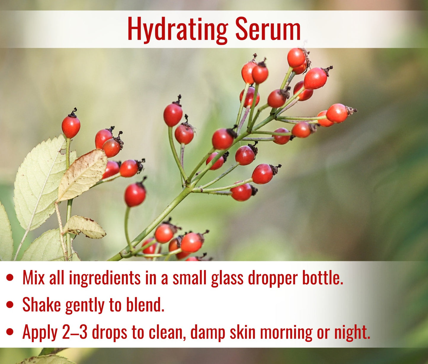 Cold Pressed Rosehip Oil for Glowing Skin, Reduces Fine Lines & Acne Scars