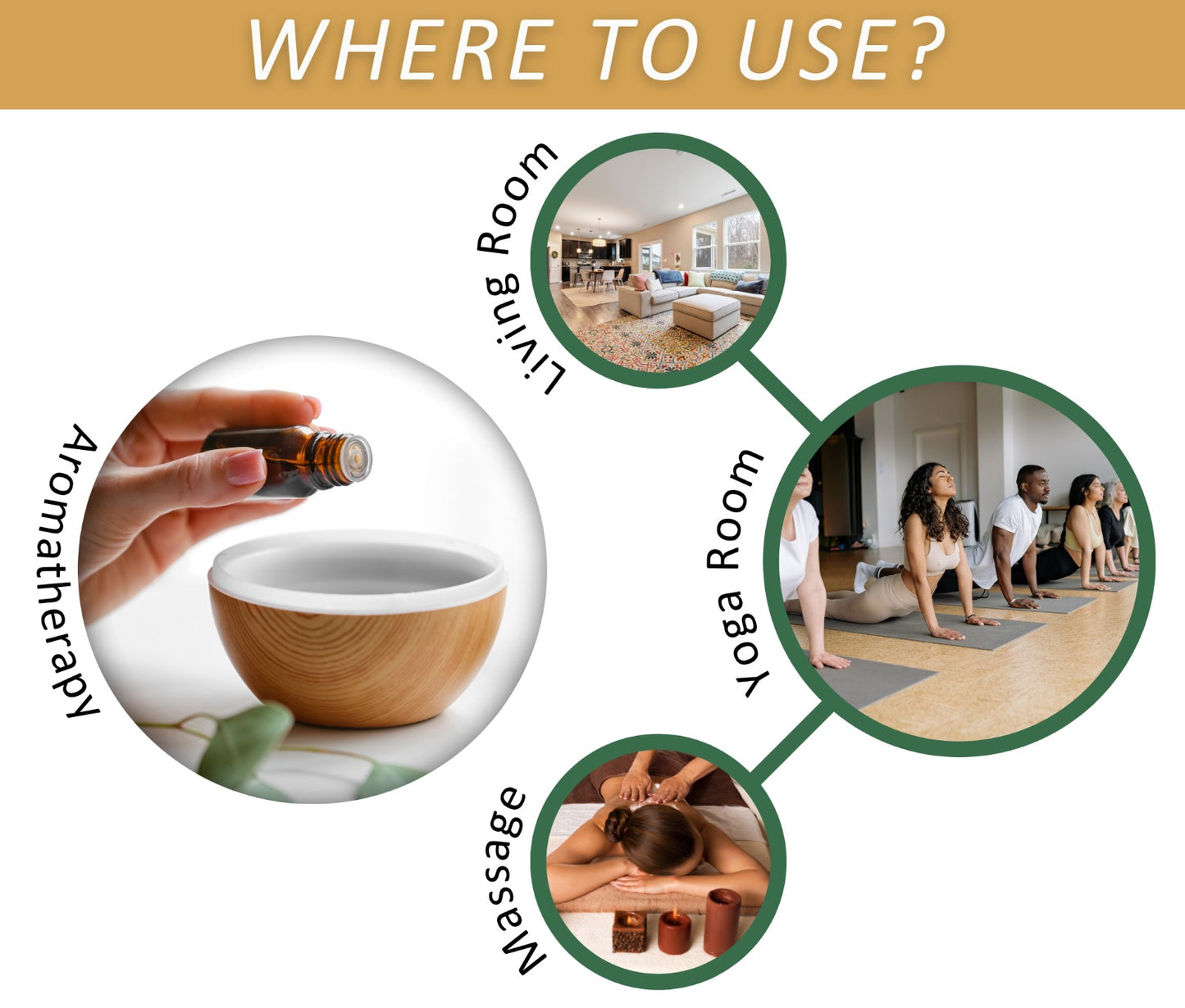 Camphor, Frankincense & Sandalwood Essential Oils Pack Of 3-10ML