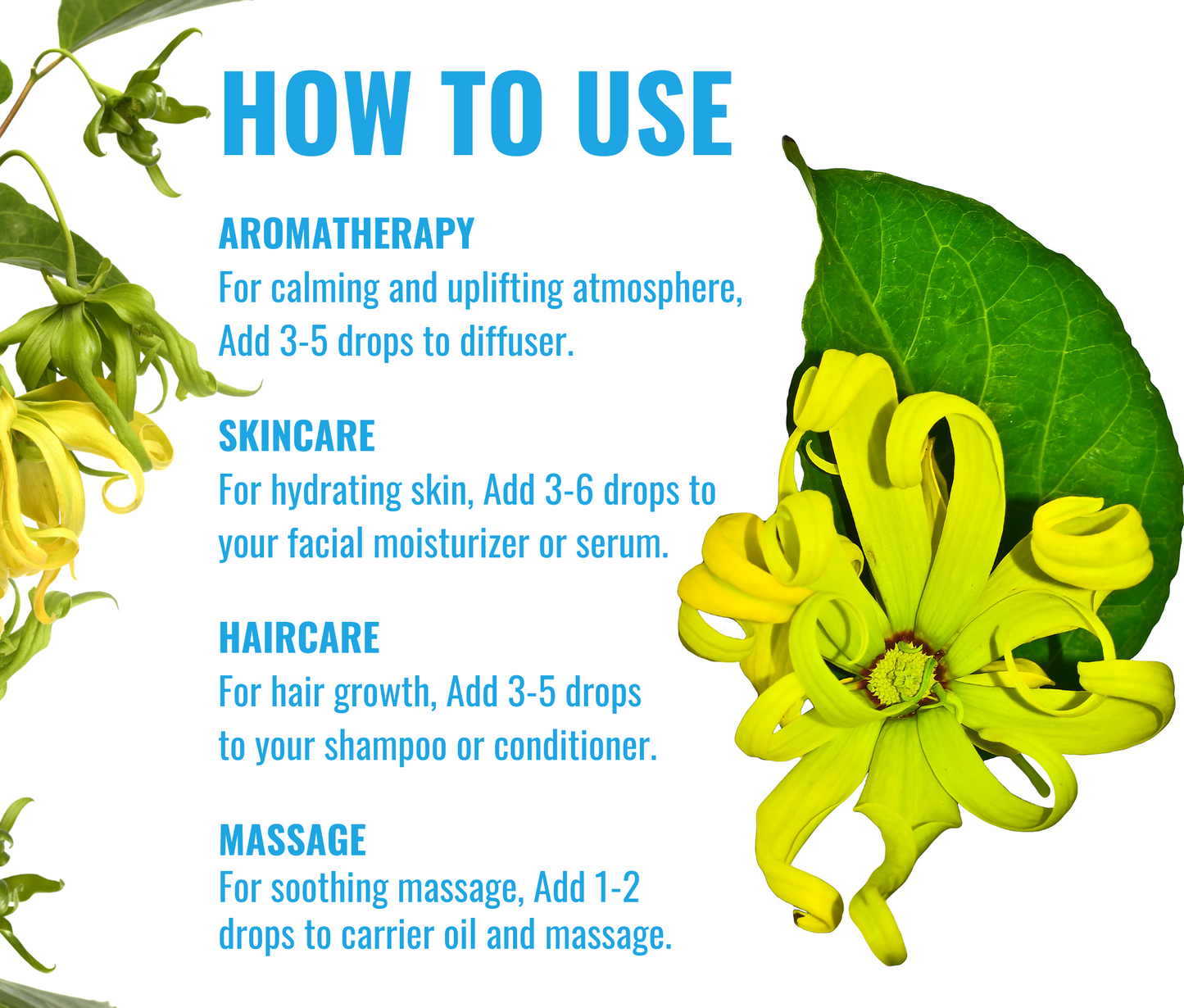 Ylang Ylang Essential Oil For Skin, Hair and Aromatherapy